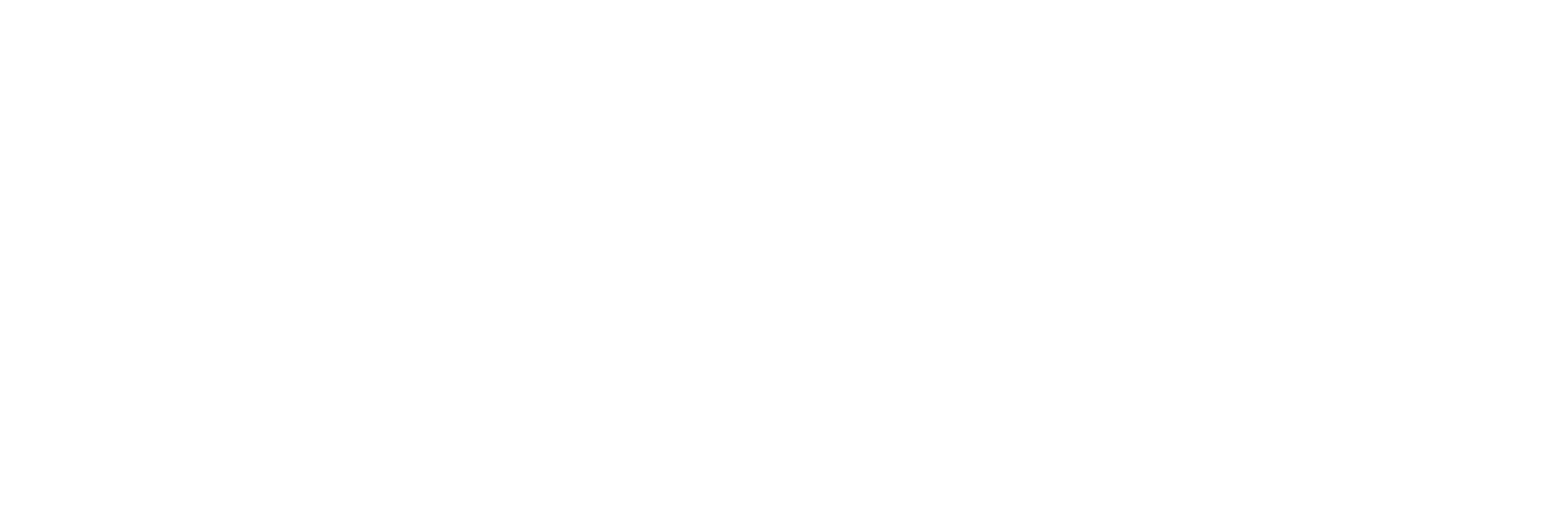 TTOY Digital